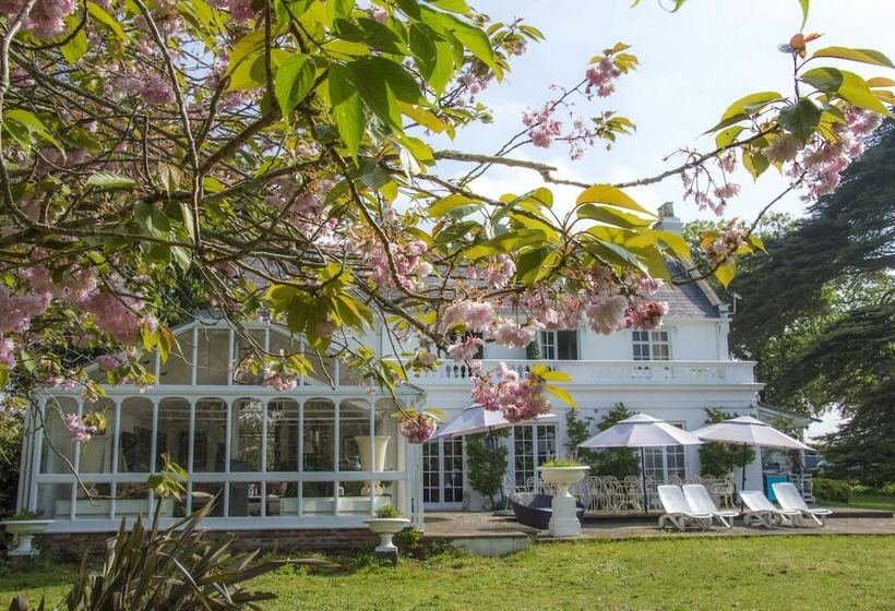 فندق Cedar House Boutique B&b