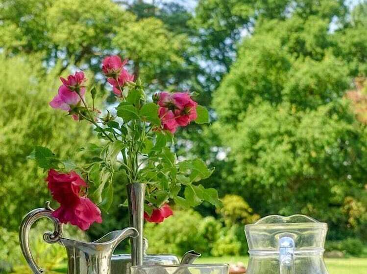 فندق Cedar House Boutique B&b