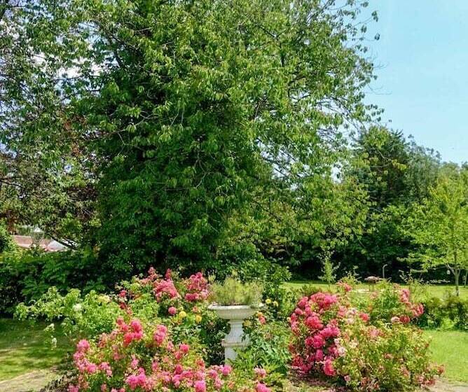 فندق Cedar House Boutique B&b