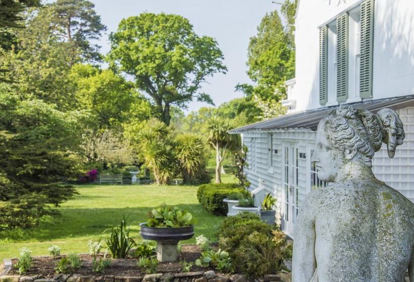 בית מלון כפרי Cedar House Boutique B&b