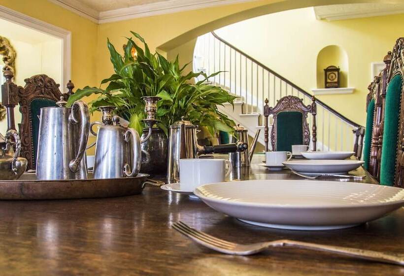 فندق Cedar House Boutique B&b