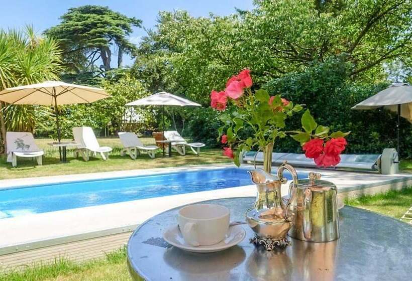 בית מלון כפרי Cedar House Boutique B&b