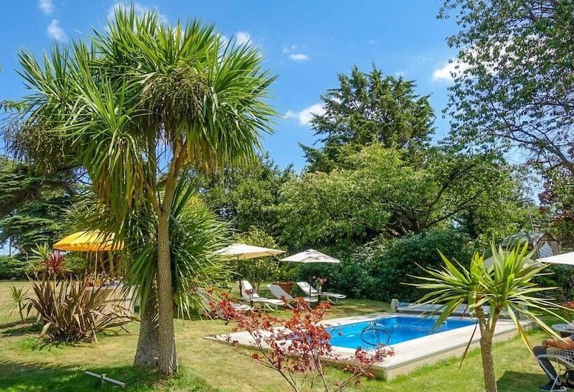 فندق Cedar House Boutique B&b