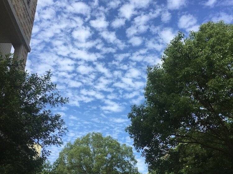 هتل Dan Dan House