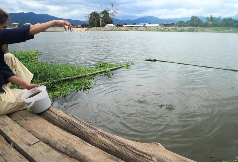 ホテル Doi Inthanon Riverside Resort