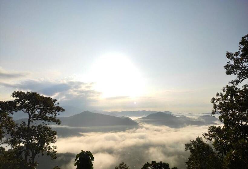 酒店 Forest Guesthouse