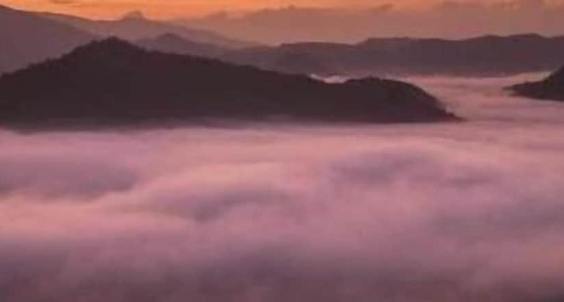 酒店 Forest Guesthouse