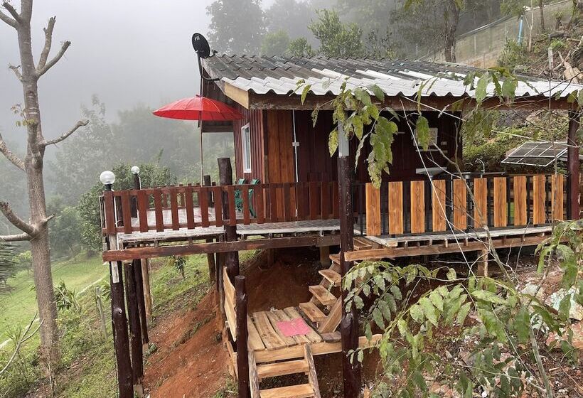 酒店 Forest Guesthouse