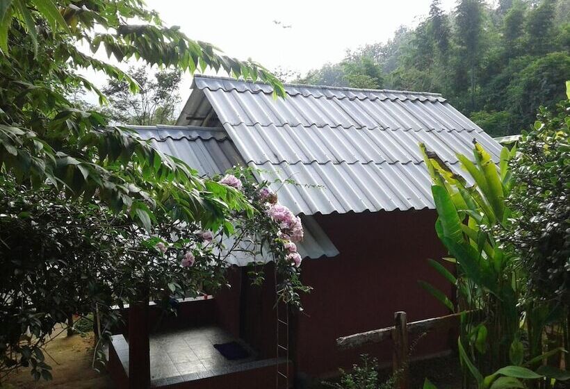 酒店 Forest Guesthouse