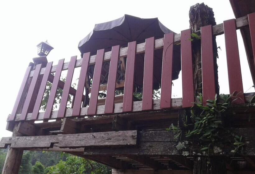 酒店 Forest Guesthouse