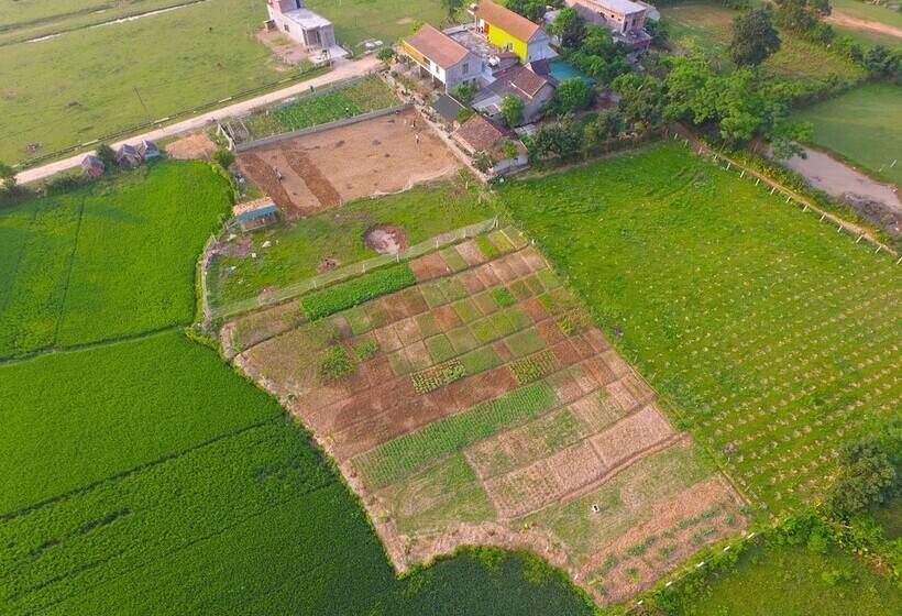 هتل Jungle Boss Homestay