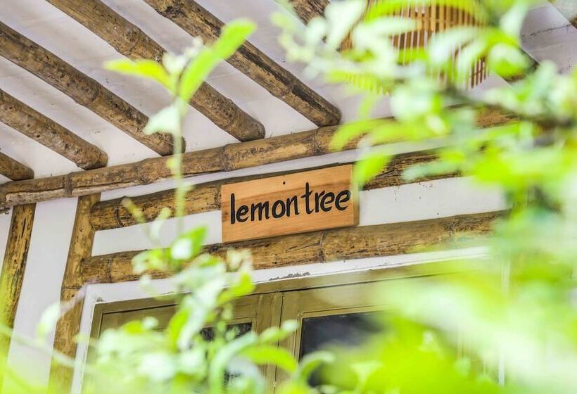 هتل Jungle Boss Homestay