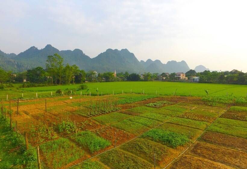 هتل Jungle Boss Homestay