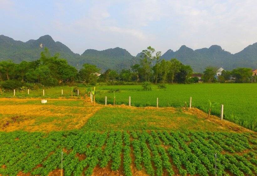 هتل Jungle Boss Homestay