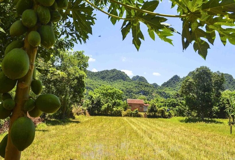 هتل Jungle Boss Homestay