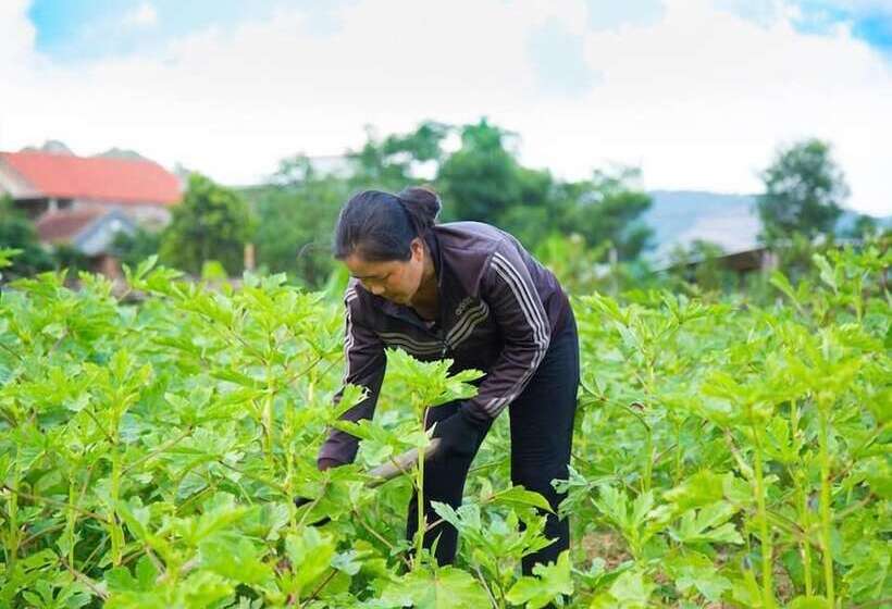 هتل Jungle Boss Homestay