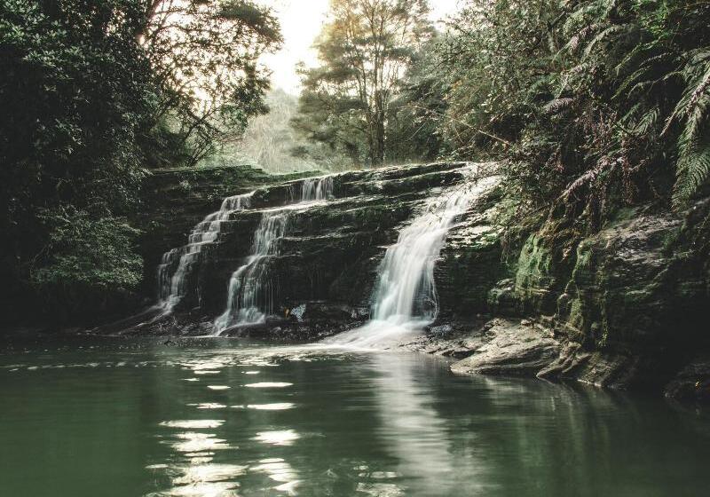 בית מלון כפרי Kawai Purapura Retreat Centre