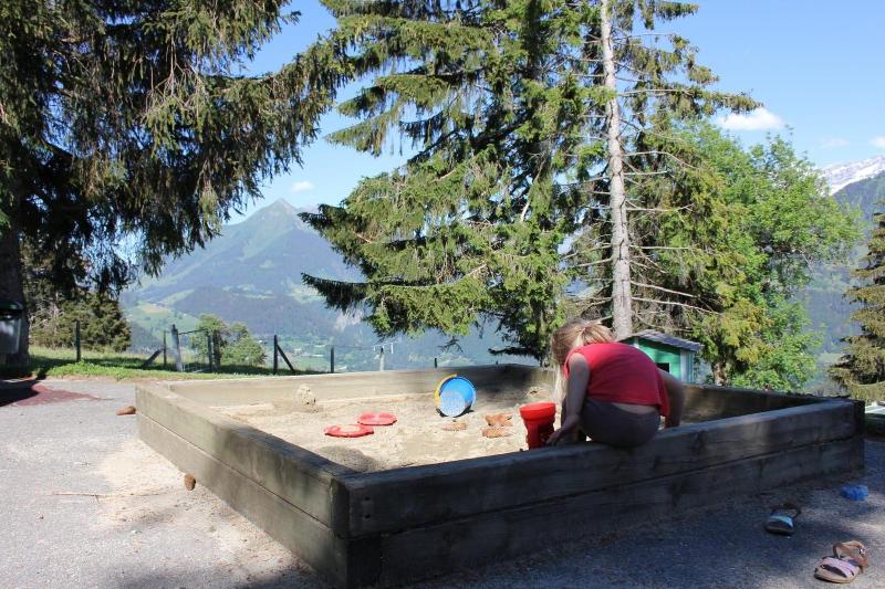 בית מלון כפרי Leysin Lodge