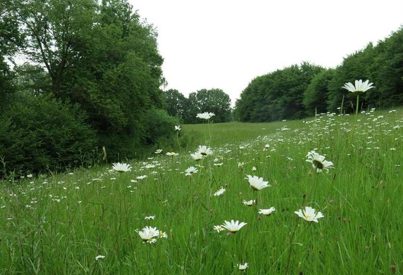 호텔 Maison D'eclaibes