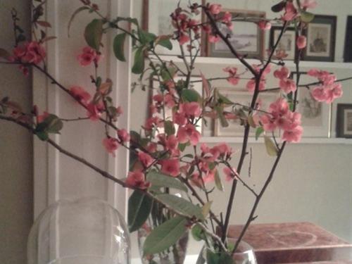 호텔 Maison D'eclaibes