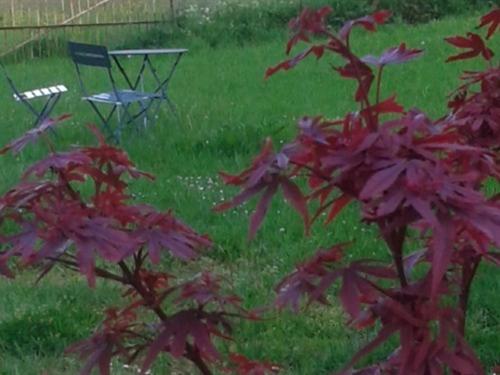 호텔 Maison D'eclaibes