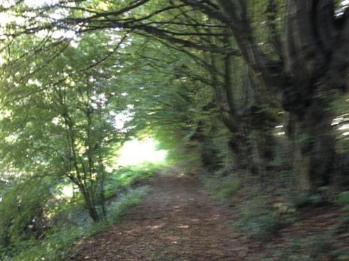 호텔 Maison D'eclaibes