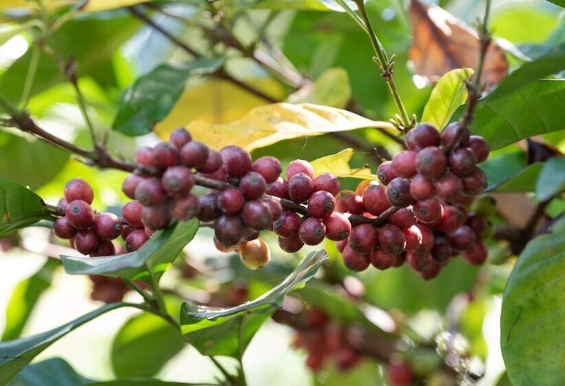 فندق Nauvoo Farm Resort