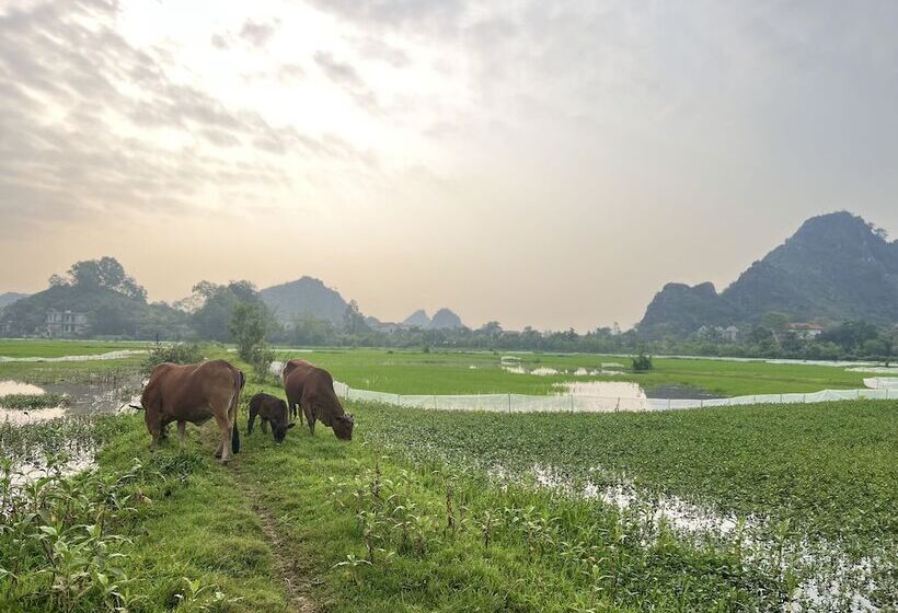 هتل Ninh Binh Family Homestay