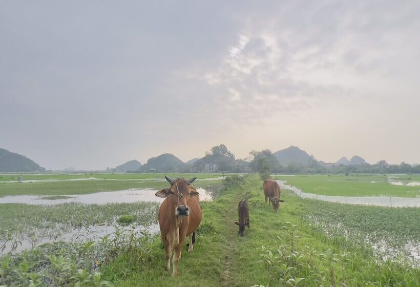 هتل Ninh Binh Family Homestay