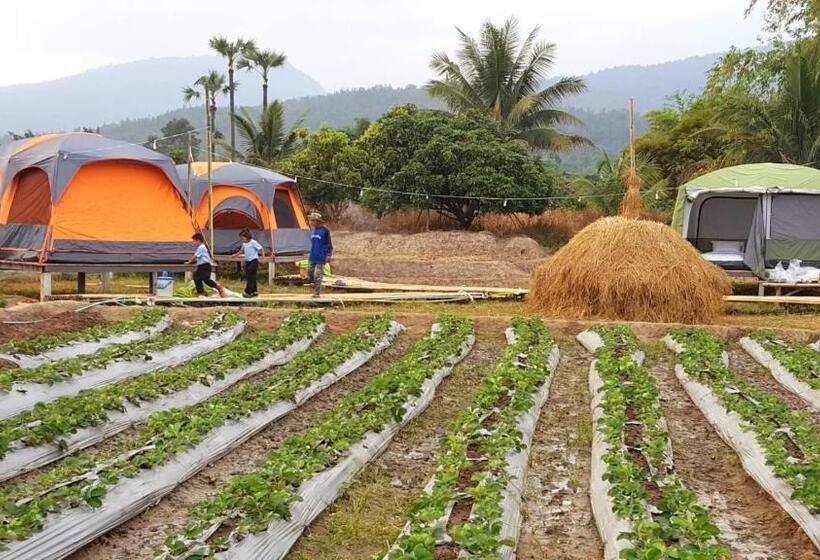 فندق Nok Chan Mee Na