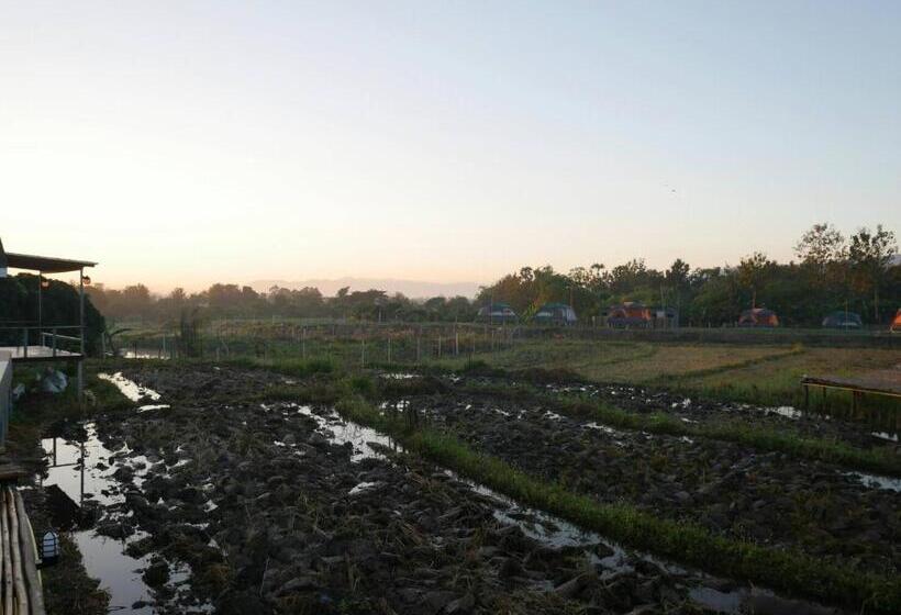 فندق Nok Chan Mee Na