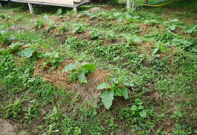 فندق Nok Chan Mee Na