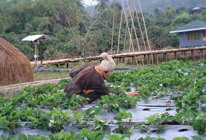 فندق Nok Chan Mee Na