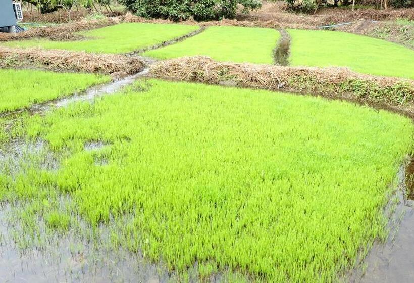 فندق Nok Chan Mee Na