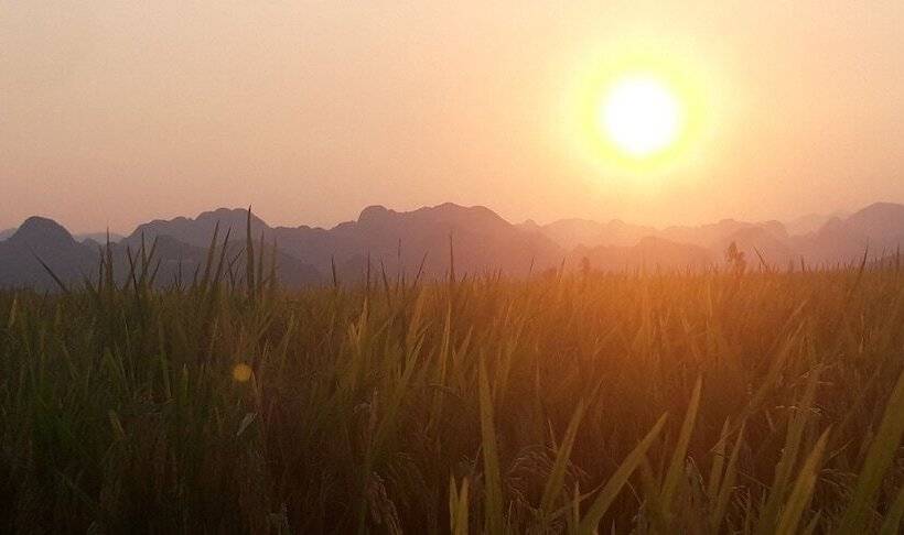 هتل Palafita Bungalow