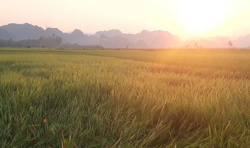 هتل Palafita Bungalow