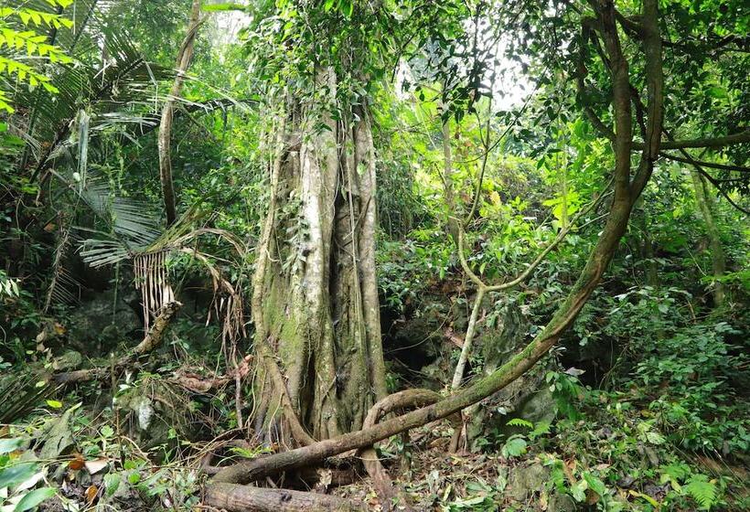 هتل Phong Nha Garden House