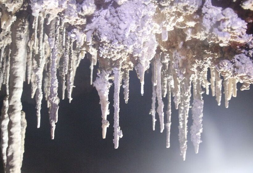 هتل Phong Nha Garden House