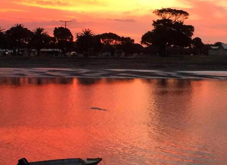 호텔 Raglan Backpackers