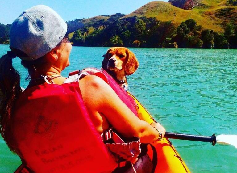 호텔 Raglan Backpackers