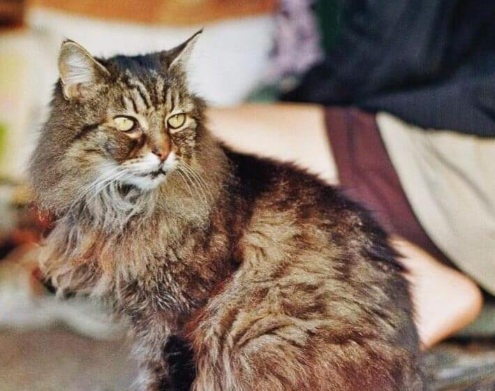 호텔 Raglan Backpackers