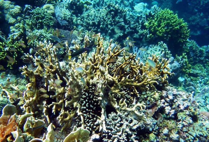 בית מלון כפרי Royal Cliff Resort