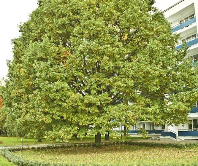 בית מלון כפרי Spa Resort Klyazma