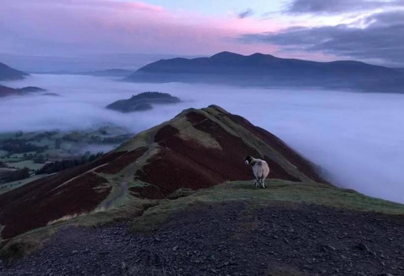 Отель Swinside Farmhouse