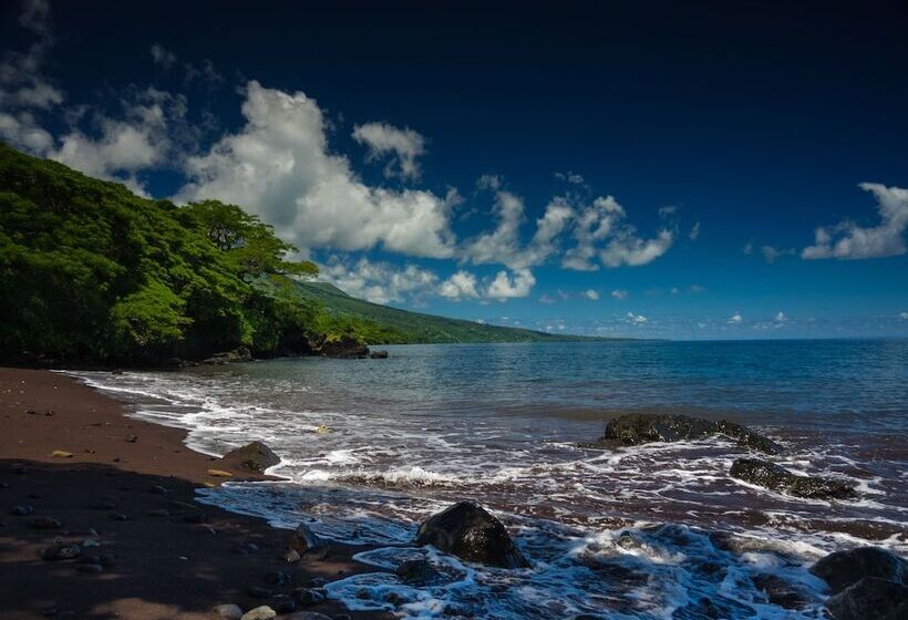 هتل Taveuni Dive Resort