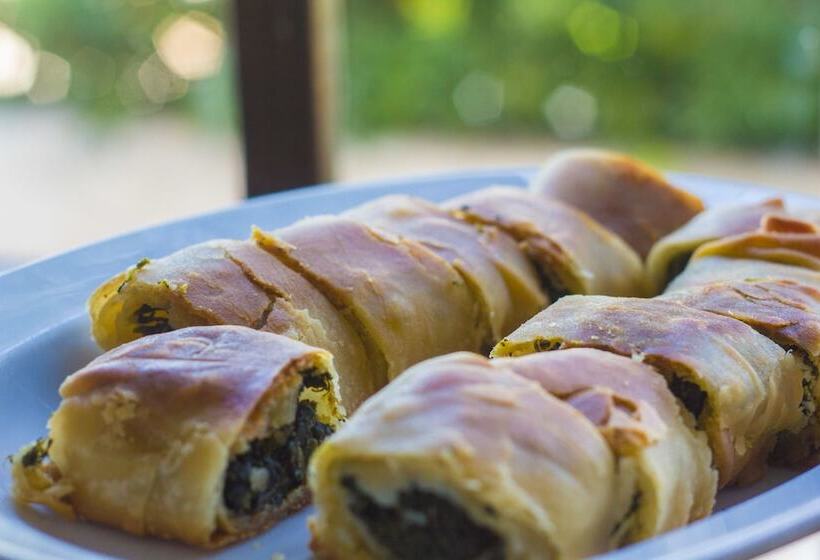 בית מלון כפרי Vagia Traditional