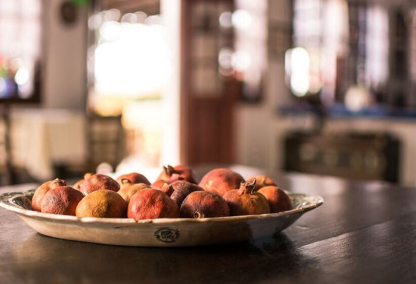 فندق Vagia Traditional