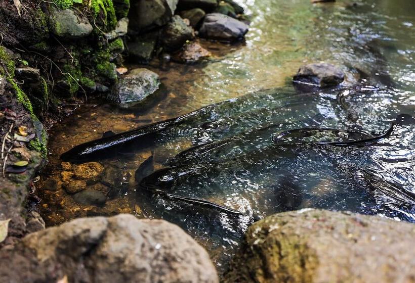 בית מלון כפרי Tasman Holiday Parks   Waihi Beach