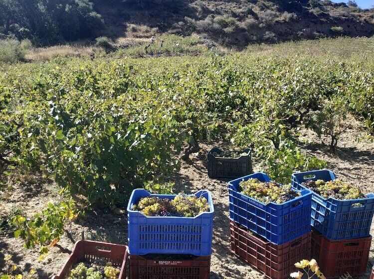 Отель Windy Place