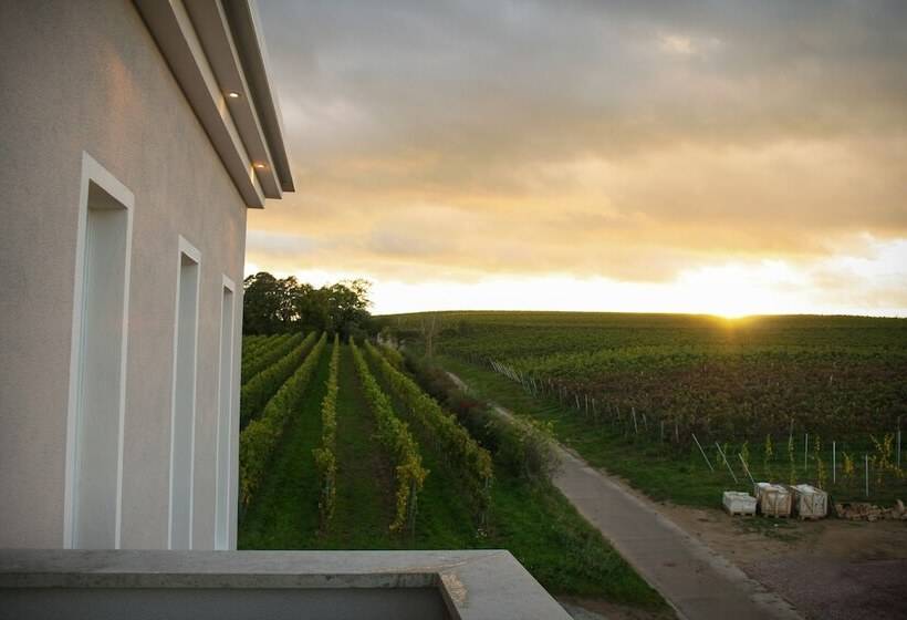 Trautwein   Das Winzerhotel Am La Roche
